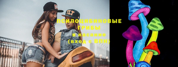 прущие грибы Михайловка