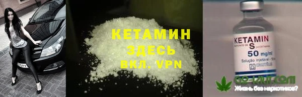 прущие грибы Михайловка