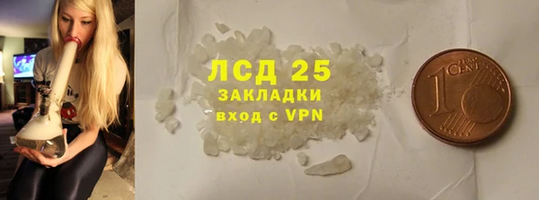 ПСИЛОЦИБИНОВЫЕ ГРИБЫ Медвежьегорск