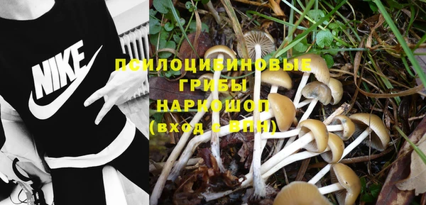 jwh Михайлов