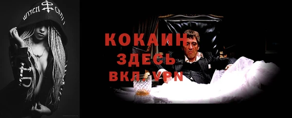 прущие грибы Михайловка
