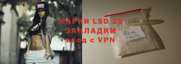 прущие грибы Михайловка
