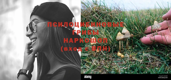 прущие грибы Михайловка