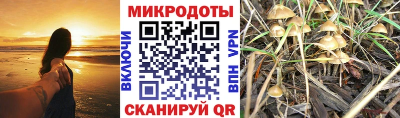 Псилоцибиновые грибы мухоморы  хочу   Жигулёвск 